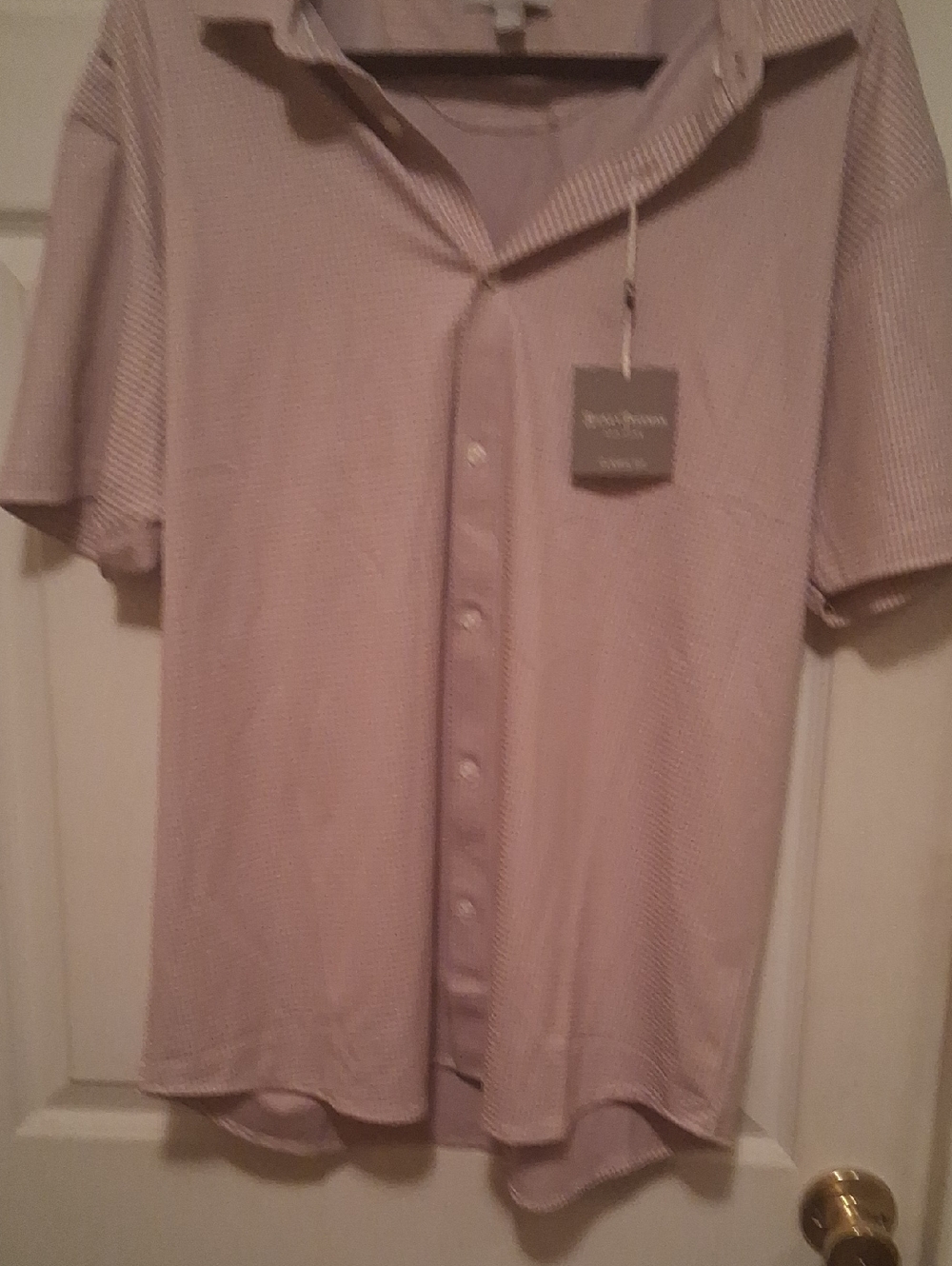 Hickey Freeman Light Pink Short-Sleeve Button-Down Shirt L